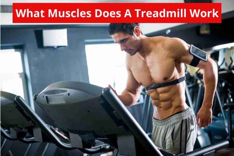 What Muscles Does A Treadmill Work (Muscle Strength) 2024